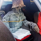 Image for article titled This Chic Skeleton Is Honestly a Better Passenger Than I Ever Will Be